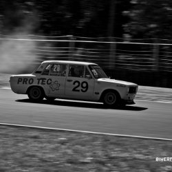 dzintara volga-5557